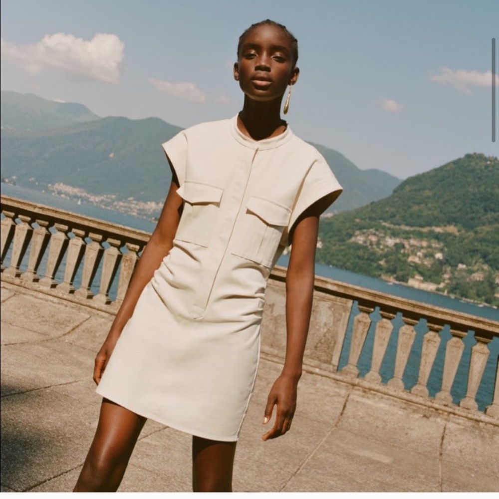 Zara back pleat pocket dress